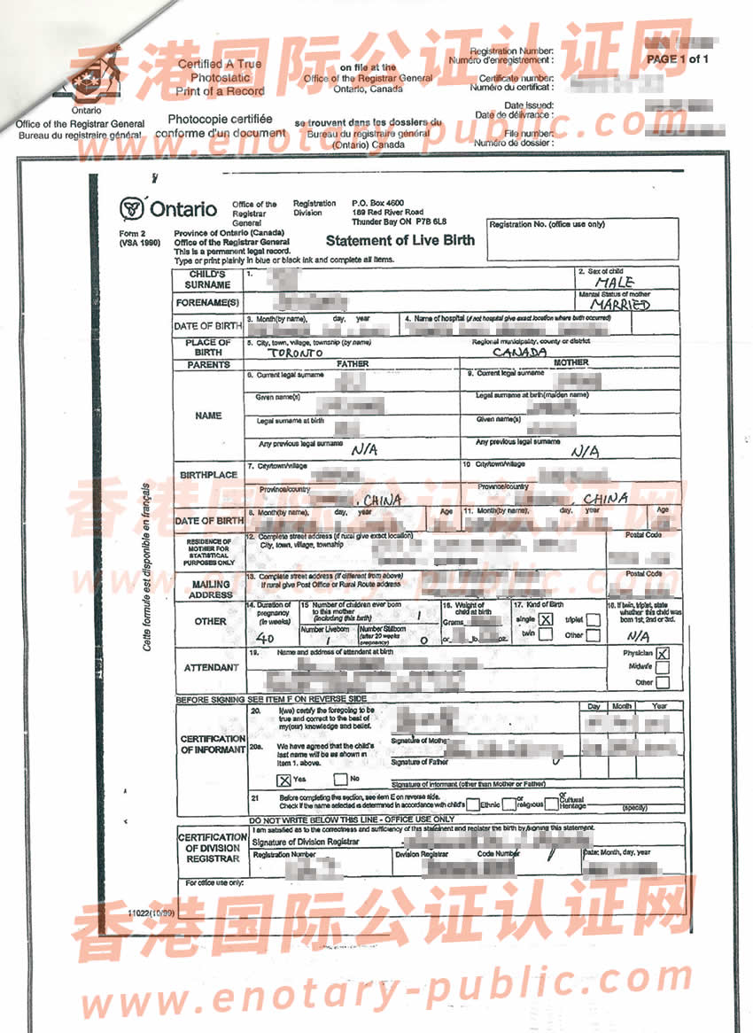 加拿大出生纸海牙认证用于中国办理亲属关系公证所得样板